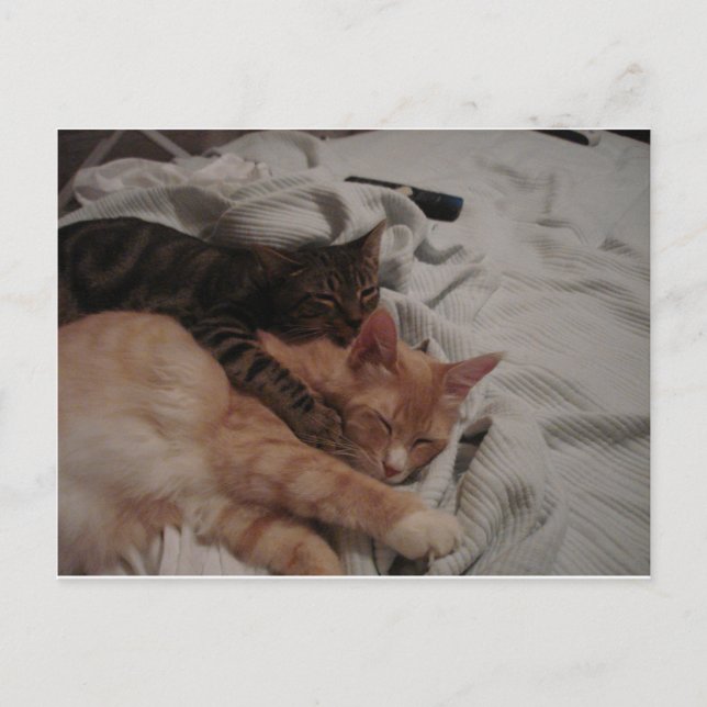 Cartão Postal dsc00178[1] (2) (Frente)