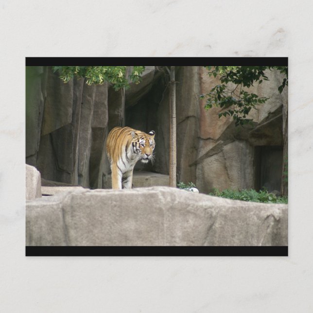 CARTÃO POSTAL DSC00222 (Frente)