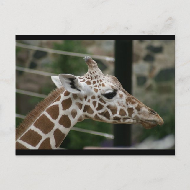 CARTÃO POSTAL DSC00238 (Frente)