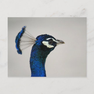 CARTÃO POSTAL DSC00292