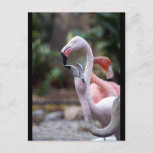 CARTÃO POSTAL DSC02490