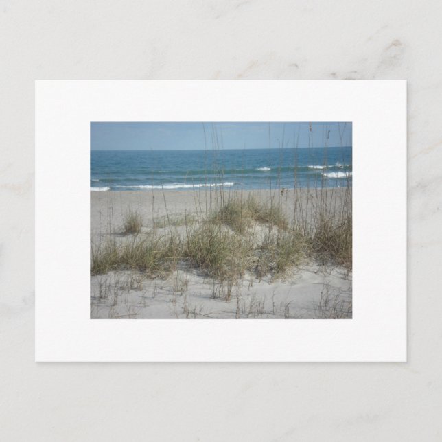 Cartão Postal DSC04194, Cocoa Beach, FLPhoto por Julie.B.Carter (Frente)