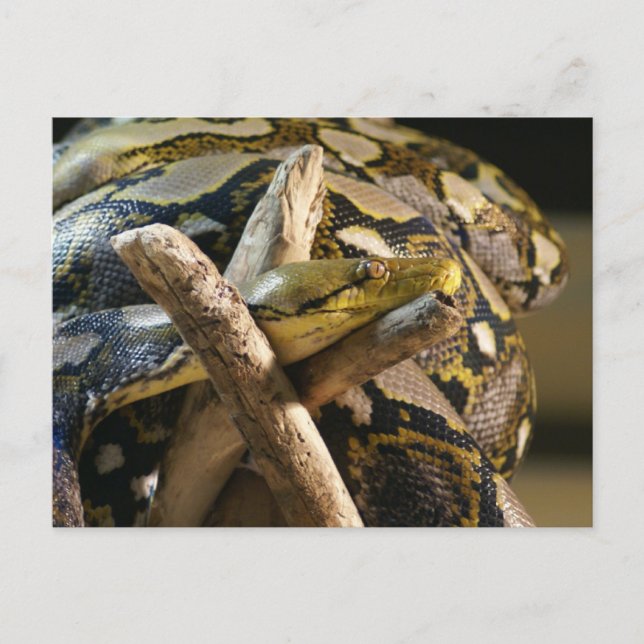 CARTÃO POSTAL DSC04222 (Frente)