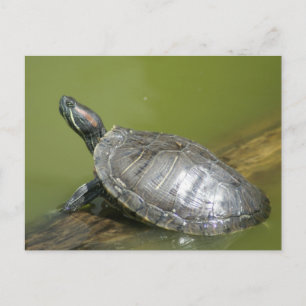 CARTÃO POSTAL DSC04275