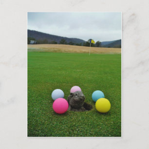 CARTÃO POSTAL DSCF0692.JPG