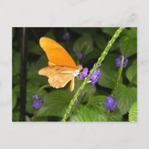 CARTÃO POSTAL DSCF9699