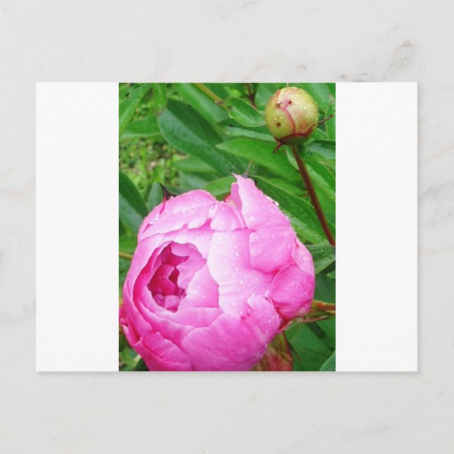 CARTÃO POSTAL DSCI0964.JPG (Frente)