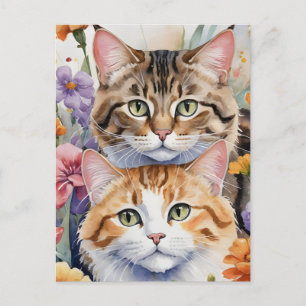 Cartão Postal Duas caras bonitas de gatinho