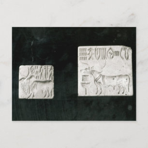 Cartão Postal Duas focas decoradas representando um zebu e um
