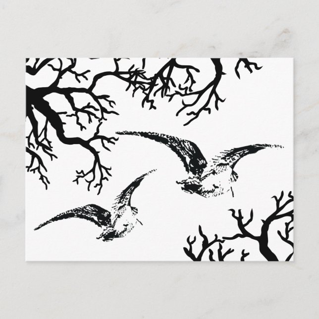 Cartão Postal Duas galinholas em voo entre os galhos (Frente)