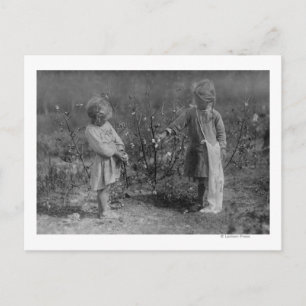 Cartão Postal Duas jovens escolhendo fotografia de algodão
