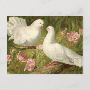 Cartão Postal Duas Pombas da Páscoa e Rosas Vintage