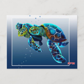 Cartão Postal Duas Tartarugas