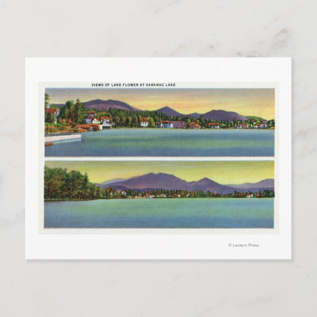 Cartão Postal Duas Visões da Flor do Lago (Frente)