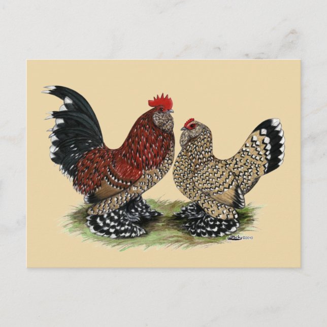 Cartão Postal D'Uccle Bantams: Mille Fleur (Frente)