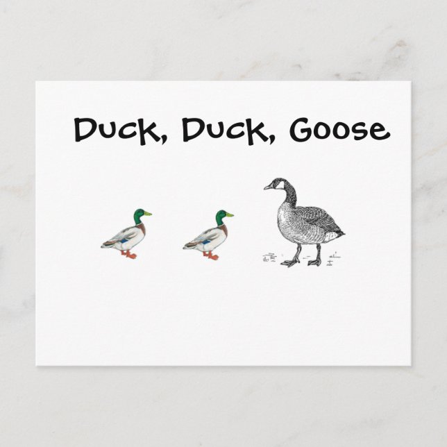 Cartão Postal Duck Duck Goose Crianças Engraçadas Jogo Cartograf (Frente)