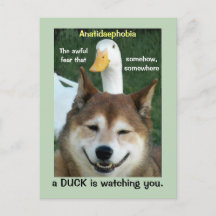 Duck Shiba Inu Dog Anatidaephobia Foto Engraçado