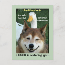 Cartão Postal Duck Shiba Inu Dog Anatidaephobia Foto Engraçado