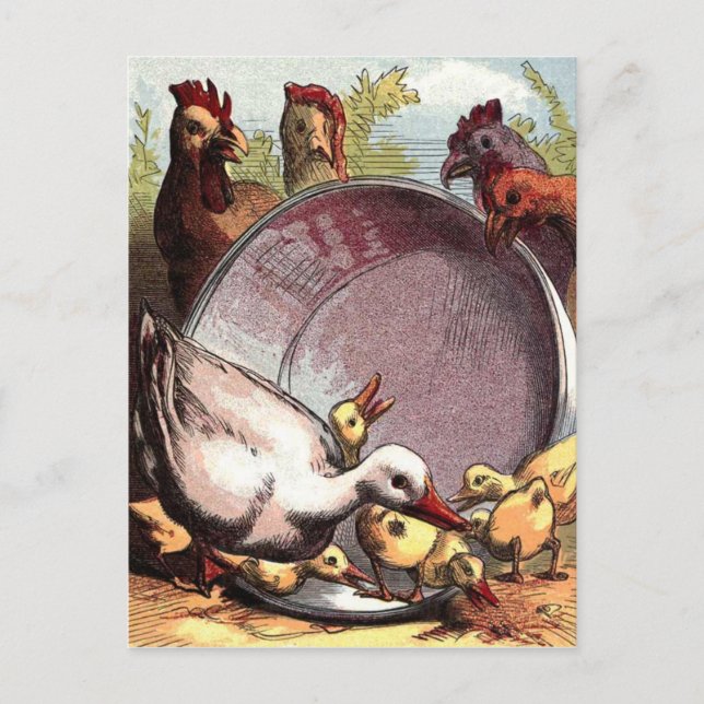Cartão Postal Ducklings e Hens (Frente)