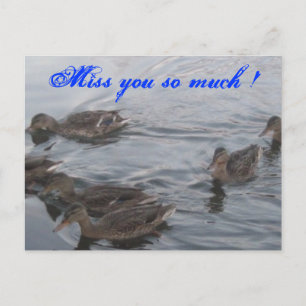 CARTÃO POSTAL DUCKS