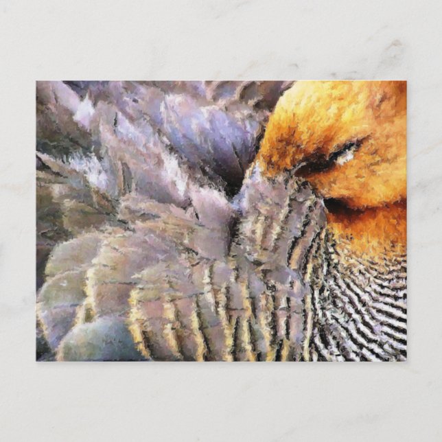 CARTÃO POSTAL DUCKS (Frente)