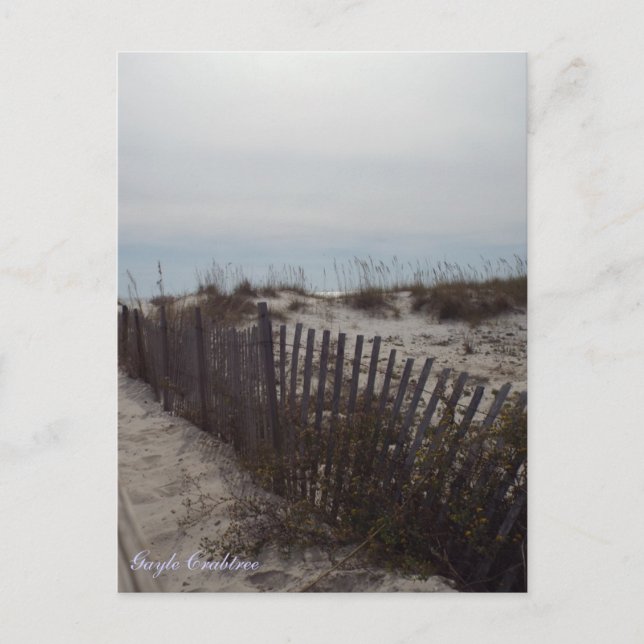 Cartão Postal Dunas de areia e praia na Costa do Golfo, Alabama (Frente)