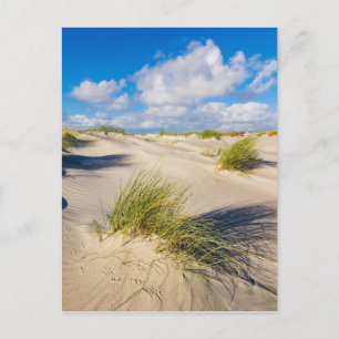 Cartão Postal Dunas na Ilha Amrum do Mar do Norte
