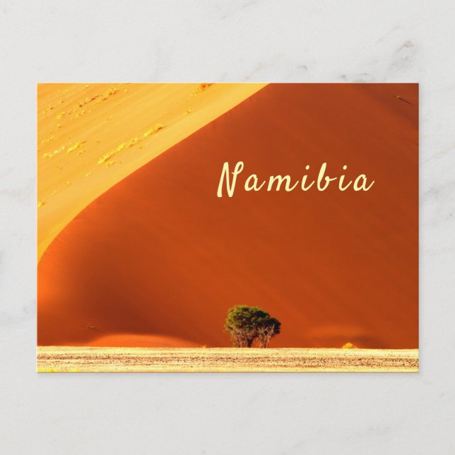 Cartão Postal Dunas vermelhas da Namíbia da foto de Sossusvlei c (Frente)