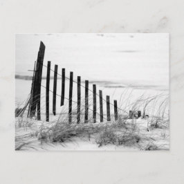 Cartão Postal Dune Fence em Neve
