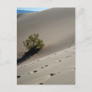 Cartão Postal Dunes do Vale da Morte 4