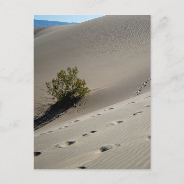 Cartão Postal Dunes do Vale da Morte 4 (Frente)