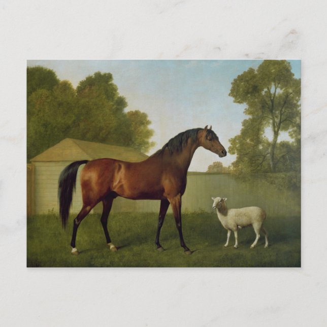 Cartão Postal Dungannon, the property of Colonel O'Kelly (Frente)