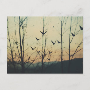 Cartão Postal Dupla exposição das aves