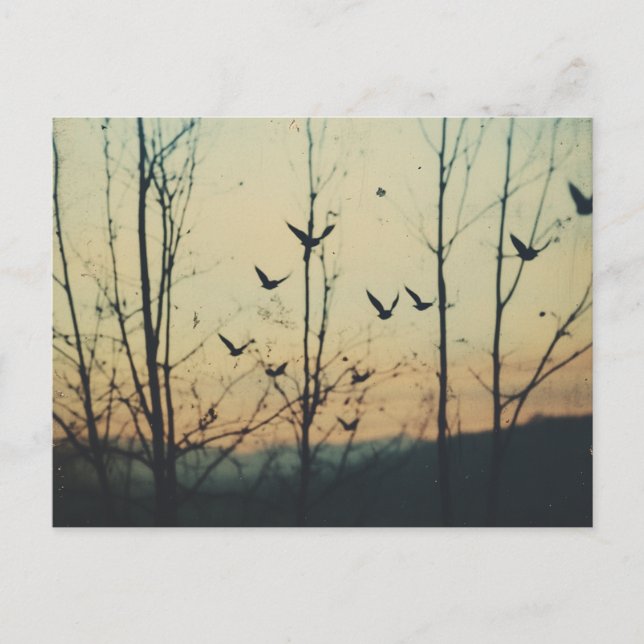 Cartão Postal Dupla exposição das aves (Frente)
