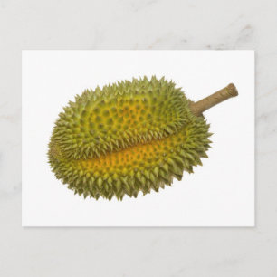 Cartão Postal Durian