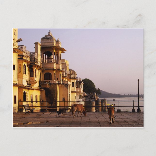 Cartão Postal Dusk em Ganghaur Ghat, Udaipur, Rajasthan, Índia (Frente)