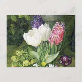 Cartão Postal Dutch Bulb Spring Flowers
