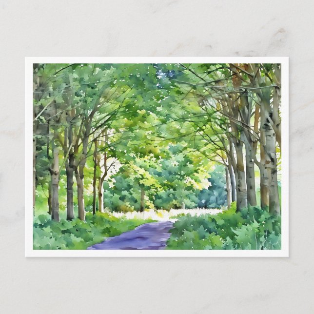 Cartão Postal Dutch Salland Region Westerveldse Bos Forest (Frente)