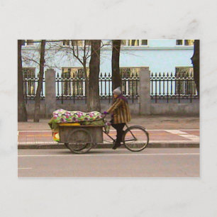 Cartão Postal Duvet no topo