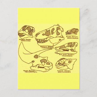Cartão Postal Dynosaur Skulls