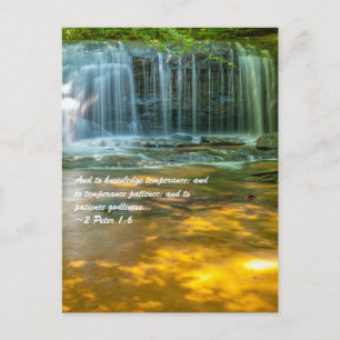 Cartão Postal E à temperatura do conhecimento, e ao patamar da t