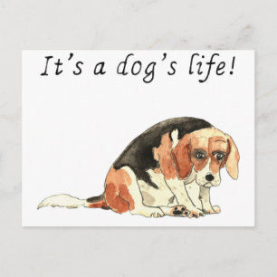 Cartão Postal É a vida de um cão Slogan de Arte Divertido Cute B