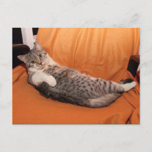 Cartão Postal E aí? Jantar Pronto?