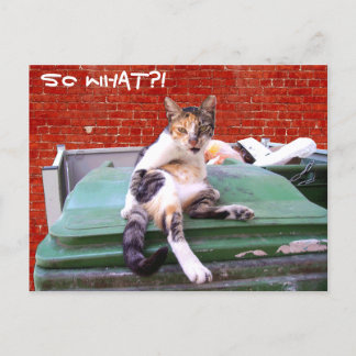 Cartão Postal E daí?