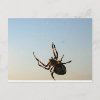 Cartão Postal E Desceu um Postal de Aranha