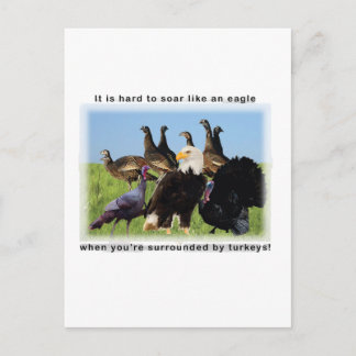 Cartão Postal É duro voar como uma citação de águia