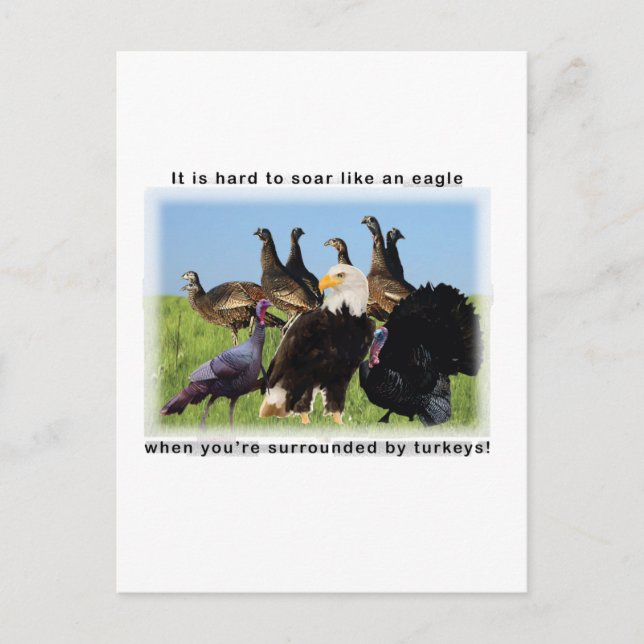 Cartão Postal É duro voar como uma citação de águia (Frente)