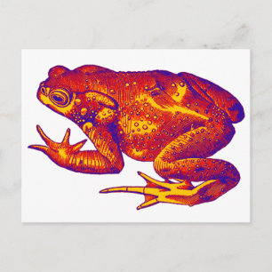 CARTÃO POSTAL É FÁCIL