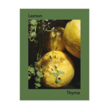 É Lemon Thyme.