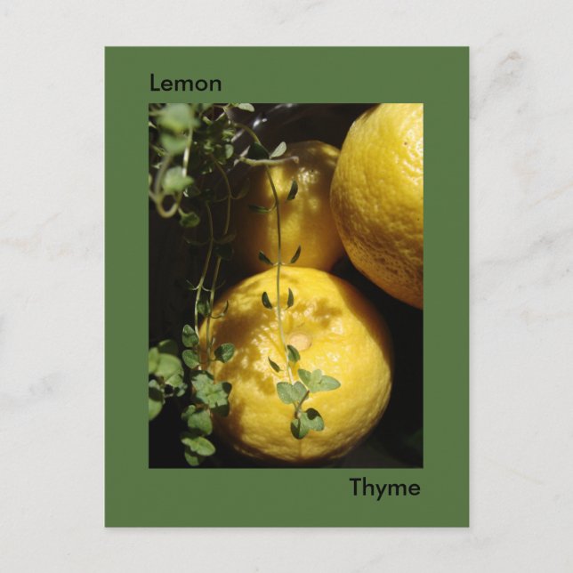 Cartão Postal É Lemon Thyme. (Frente)